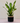 Jute Planter (Black-Brown)